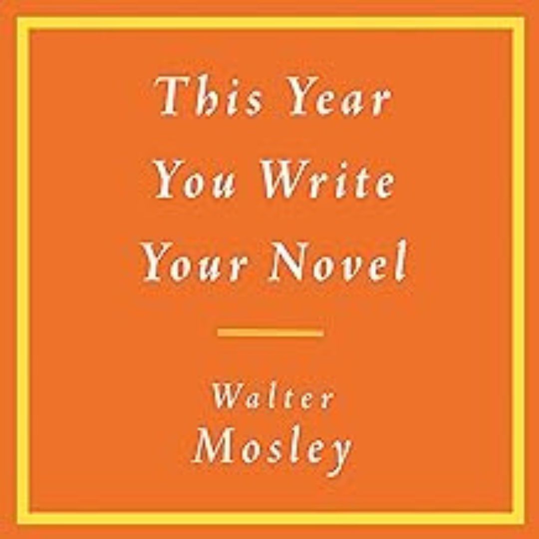 This Year You Write Your Novel