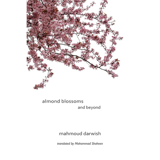 almond blossoms and beyond : a book by [ unused0 ]