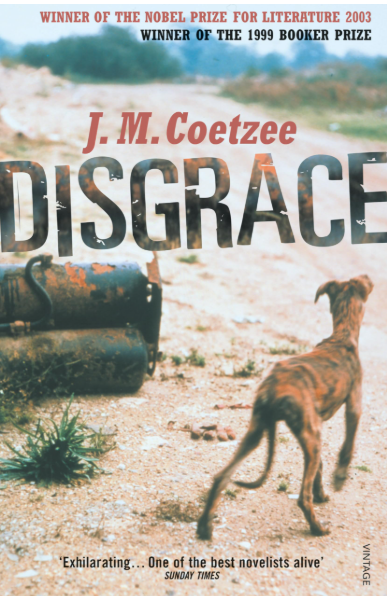 Disgrace (pre-owned)